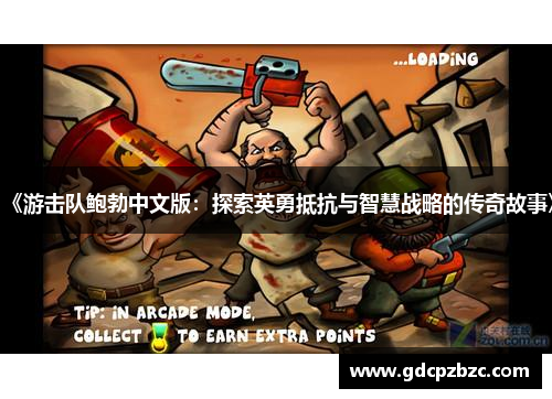 《游击队鲍勃中文版：探索英勇抵抗与智慧战略的传奇故事》